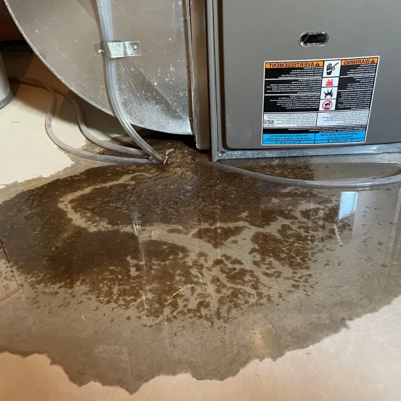 Pipe Burst and Leak Restoration in Ripon, WI